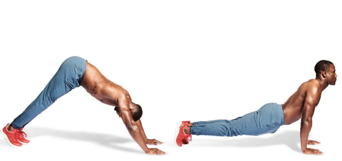 hindu push up